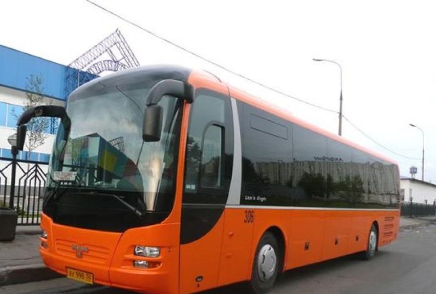 автобусы